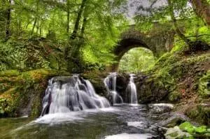 nature