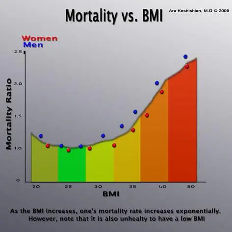 bmi_mortality