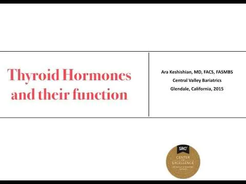 Thyroid Gland And Function