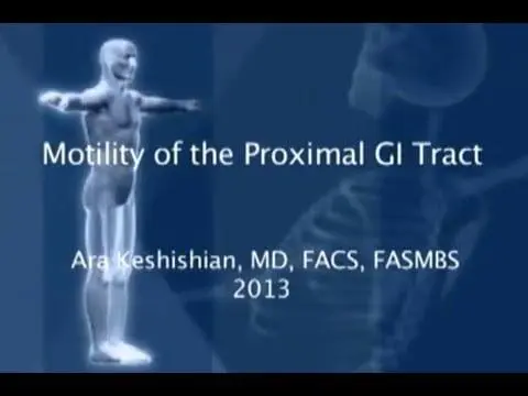 Motility of the GI Tract