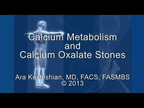 Calcium Metabolism and Calcium Oxalate Stones