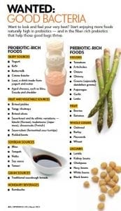 Prebiotic and probiotic-rich food sources. Source: www.urerovhor.gffu.net