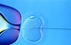 IVF-300x194 Keshishian IVF