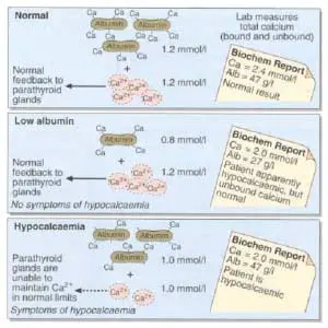 Calcium-bound-to-albumin-300x300 Calcium bound to albumin Keshishian