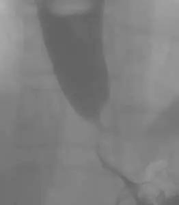 Screen-Shot-2015-04-28-at-9.33