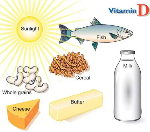 vitd_sources vitd_sources