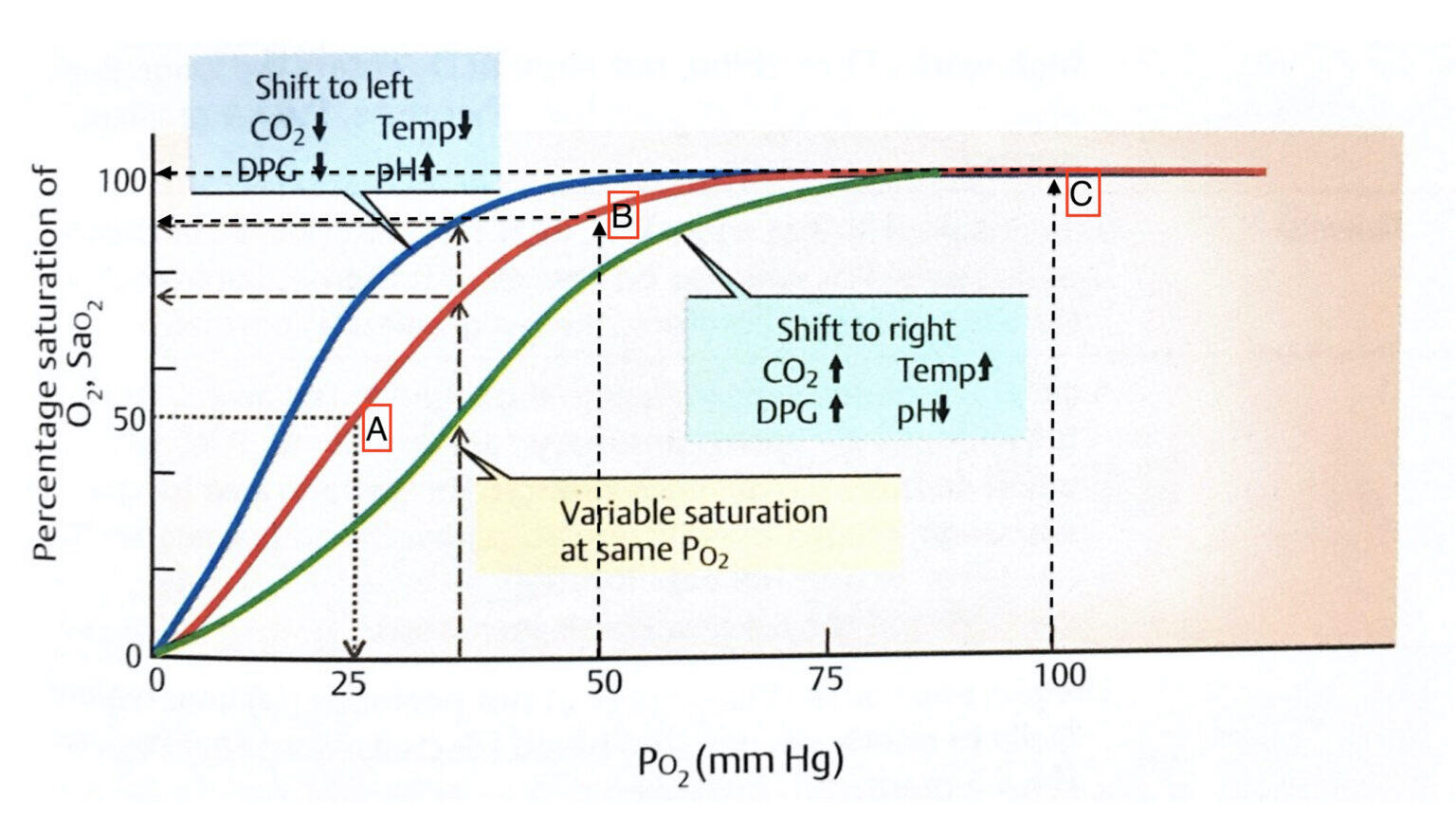 Why Oxygenation In Covid 19 Is A Major Problem DSSurgery
