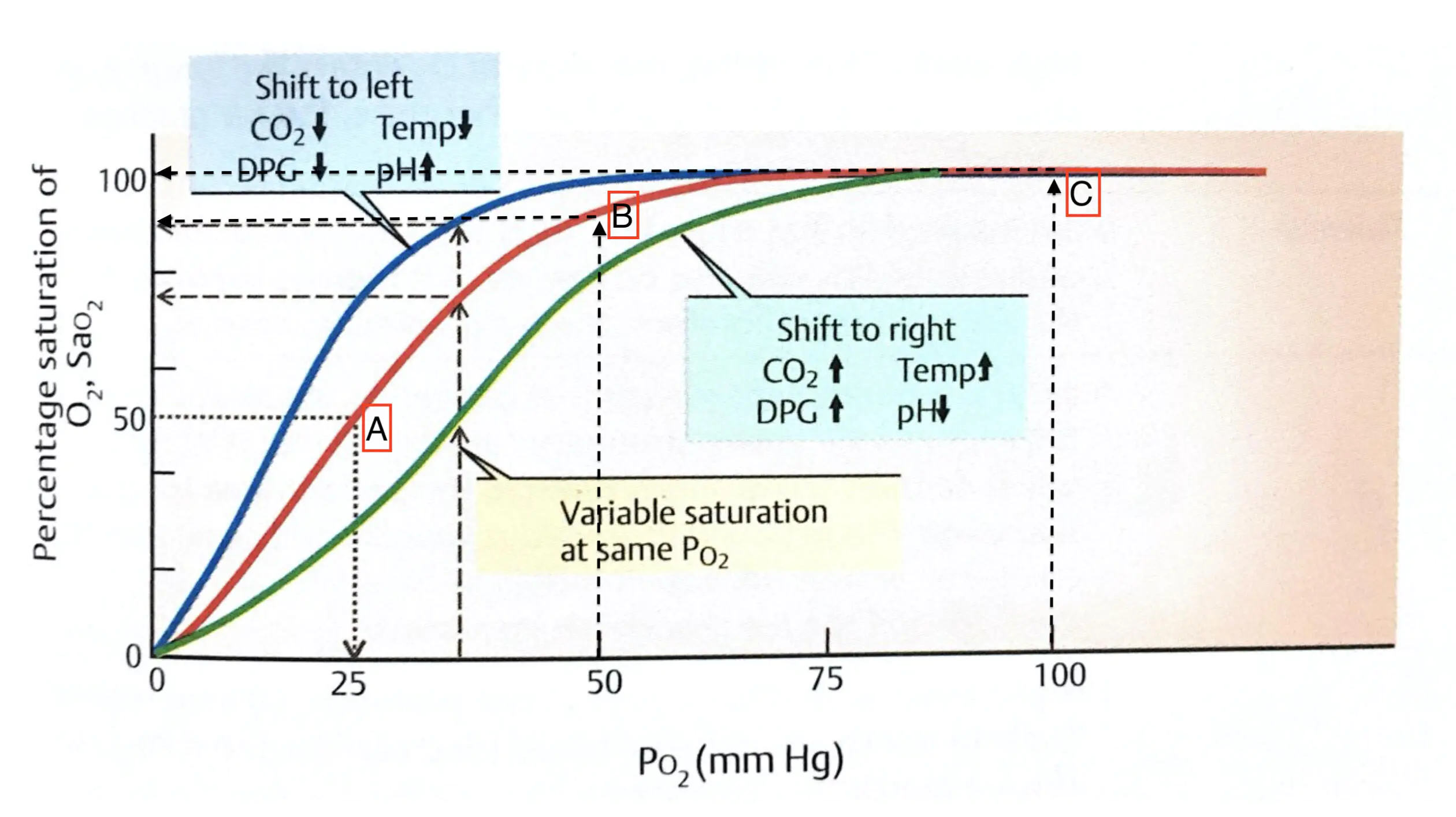 Oxygenation in COVID 19 patient